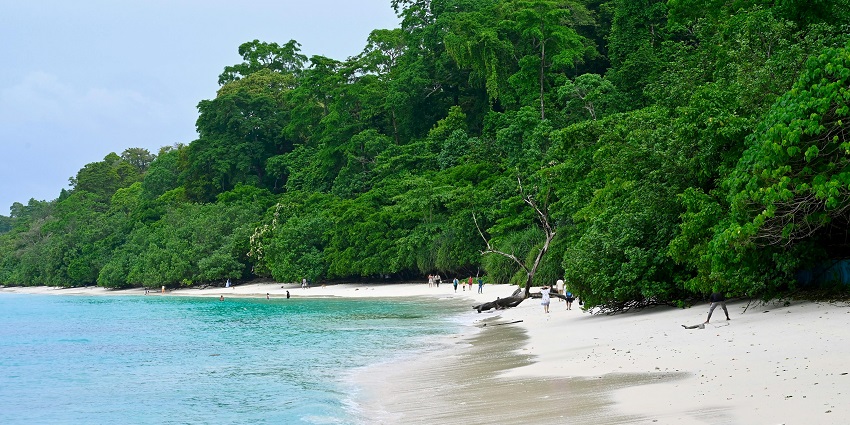 Pristine beaches and lush greenery of Little Andaman Island, a serene escape in the Andaman Islands