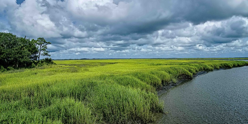 Pristine nature preserve off the Georgia coast, among the best islands in Georgia.