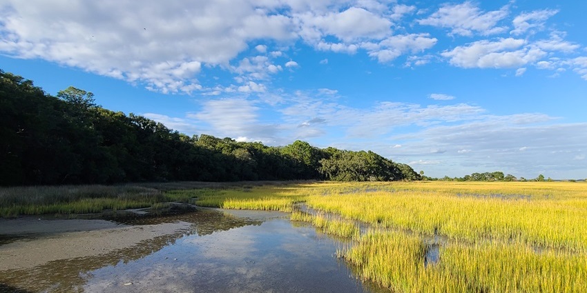 Indulge in golf resorts, fine dining, and beaches on Hilton Head Island’s coastline