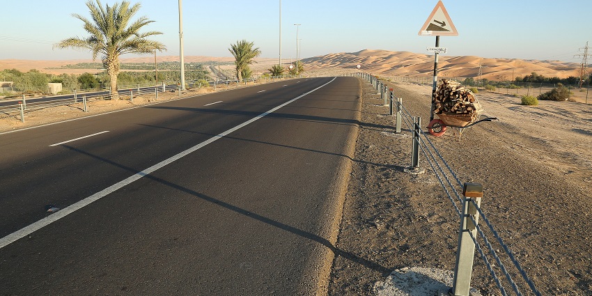A road leading to the Liwa Oasis in the desert of Abu Dhabi with a little greenery around it.
