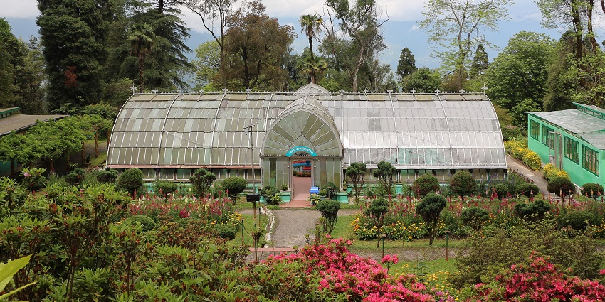 Lloyd’s botanical garden in Darjeeling with unique, different flowers and tall green trees.