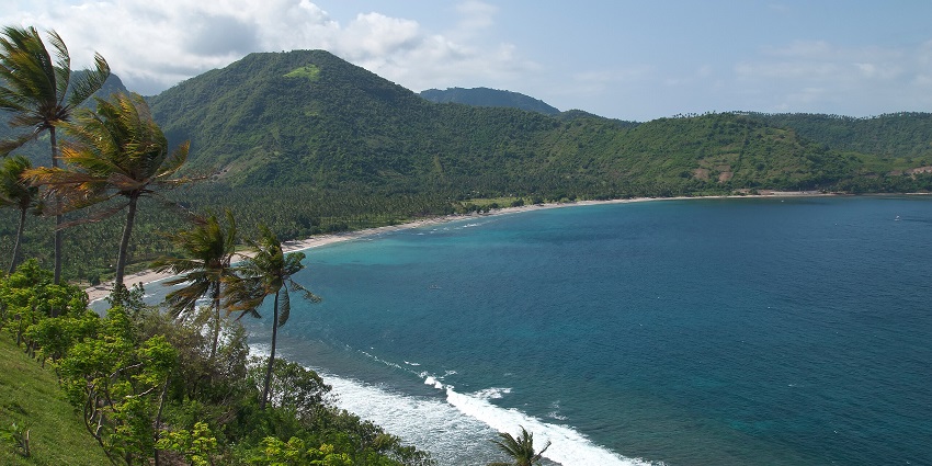 Coastal view with swaying palm trees, blue sea waves, and lush green hills in sunlight.