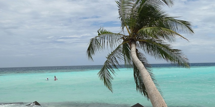 Experience Maafushi’s mix of luxury and local culture, with stunning beaches for couples, among the best places in Maldives for honeymoon.