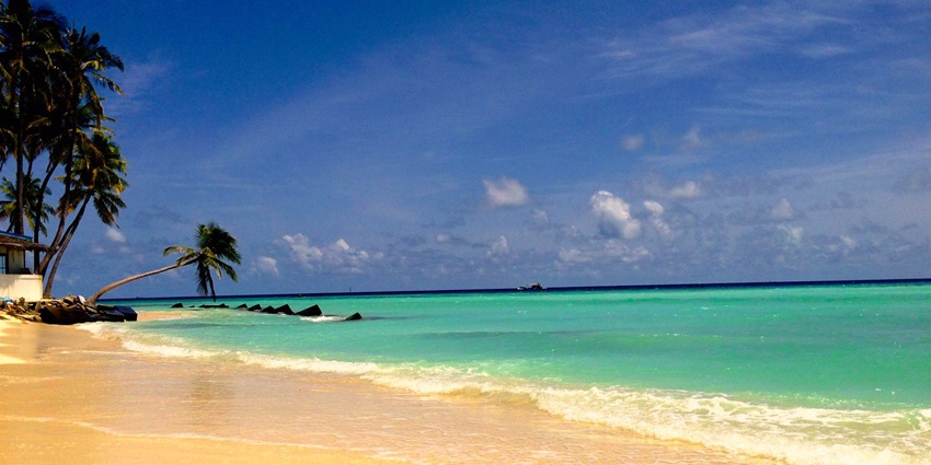 Maafushi Beach, with water hitting the sandy shoreline and palm trees under a blue sky