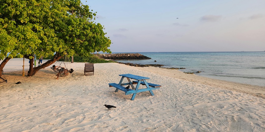 Maafushi Beach with a blue bench on the sandy beachfront in one of the places in Maldives