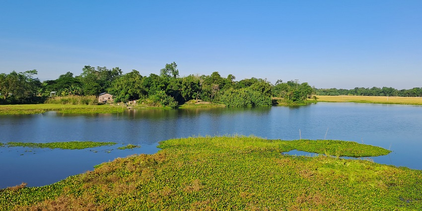 Majuli island in Jorhat, with green water and plants growing on the water,is one of the places to visit in Assam in May.