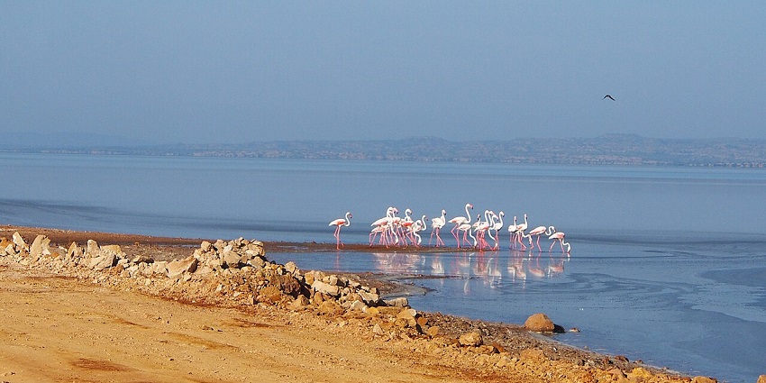 Sandy shores of Mandvi Beach, one of the unique places to visit in Gujarat in November.
