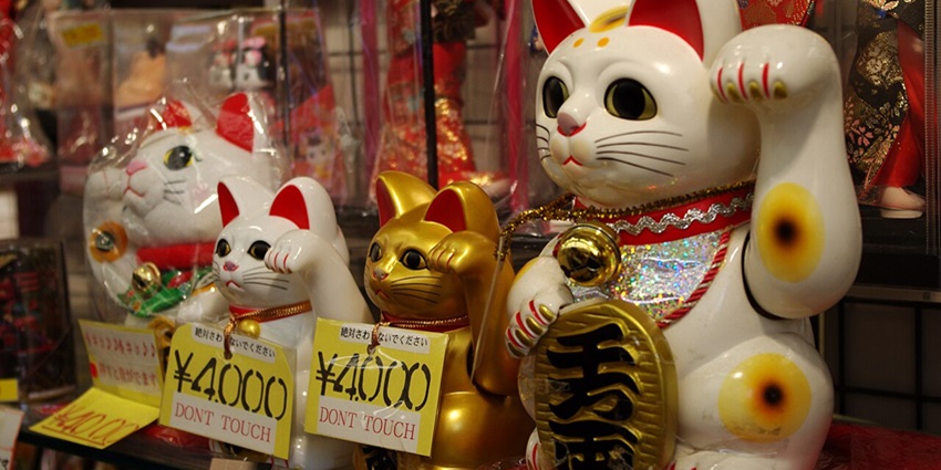 A variety of Maneki Neko cats with raised paws in white, gold, and red—fun things to buy in Tokyo.