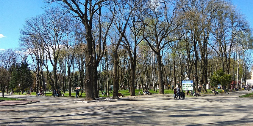 Lush green trees and trimmed lawns with curved walking paths in Vinnytsia’s Central Park.
