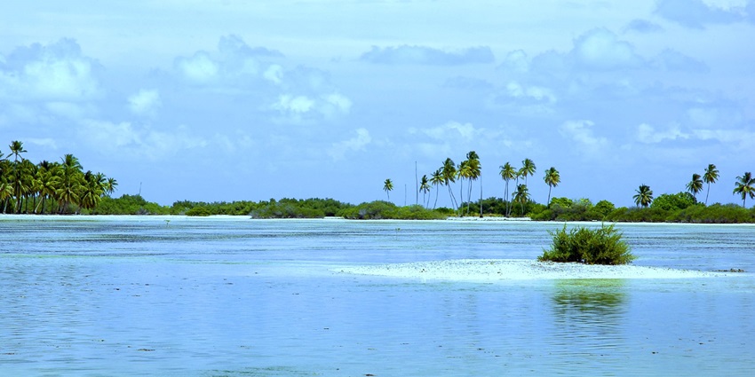 Meedhoo island in Addu Atoll with multiple palm trees and a bright blue water body of sea, one of the places to visit in Maldives in January.