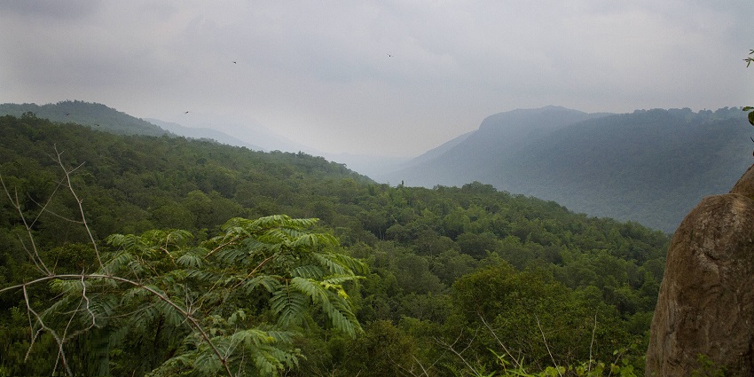 Rolling green hills and trekking trails in the Melagiris, offering peace and biodiversity.
