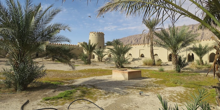 Mezyad Fort with traditional architecture, multiple palm trees and birds flying in the sky
