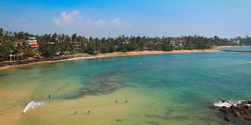 Mirissa Beach in Sri Lanka with sand, palm trees, is one of the top places to visit in Sri Lanka in December.