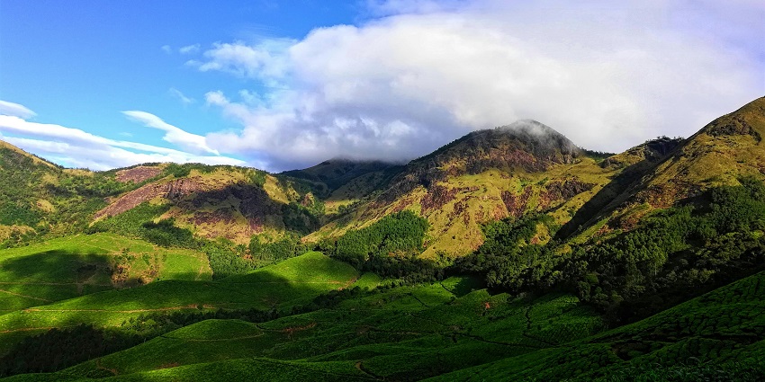 Misty Kerala mountains covered in dense green forest after rainfall — what is the best time to visit Kerala