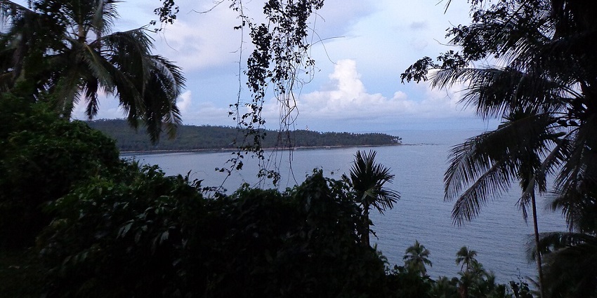 Scenic view of Mount Harriet, showcasing lush greenery and vistas of the Andaman