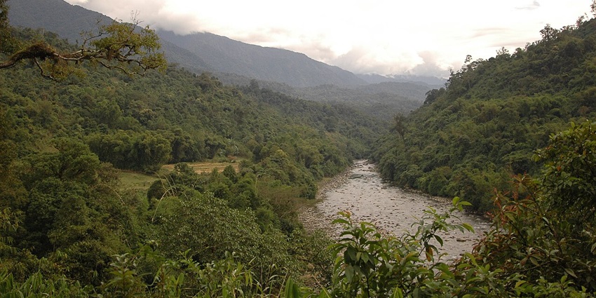 Namdapha National Park with a distant small water body, green trees and mountains