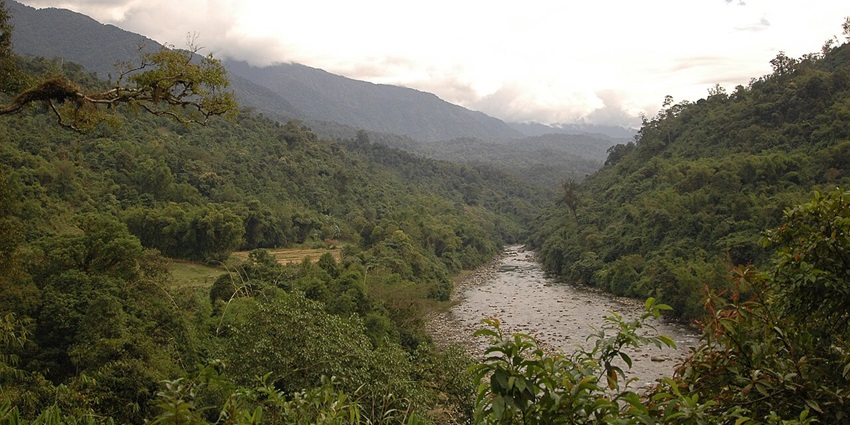 Namdapha National Park with a distant small water body, green trees and mountains