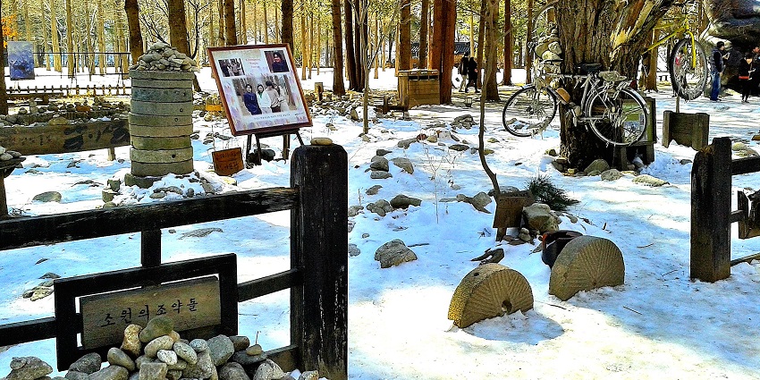 A view of tree-lined paths and scenic walking trails with changing seasons on Nami Island.