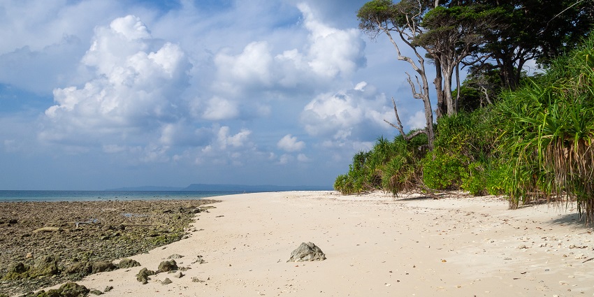 A wide, sandy tropical beach with dense green foliage on Shaheed Island, Andaman.