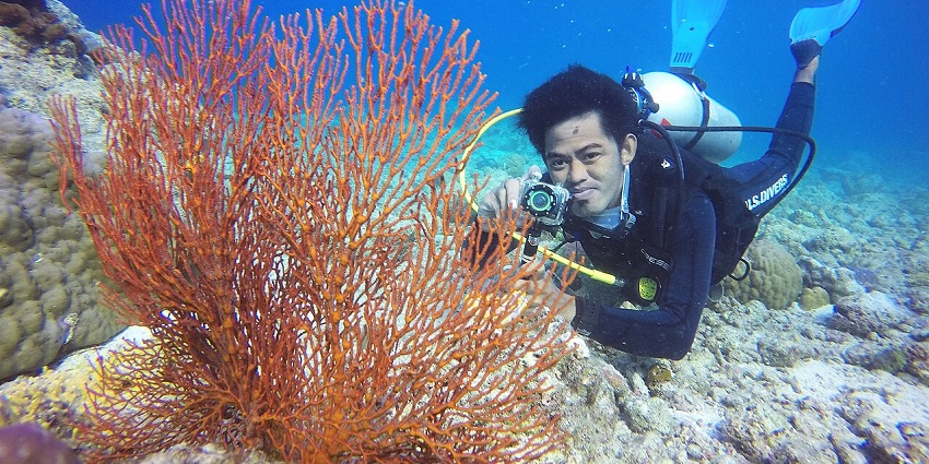 Enjoy an amazing experience diving at Nelivaru Haa, exploring clear waters and colorful marine life