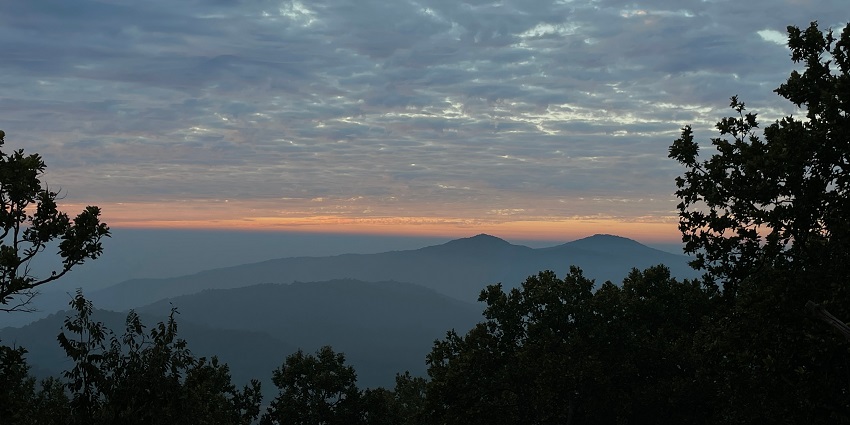 Silhouetted pine trees with layers of misty mountains under a soft orange-pink sunset sky.