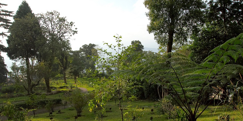 Nightingale Park, with green grass and tall trees, is one of the places to visit in Darjeeling in May.