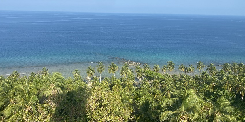 A shallow blue water beach with many trees in front of North Bay Island, one of the places to visit in Andaman in April.