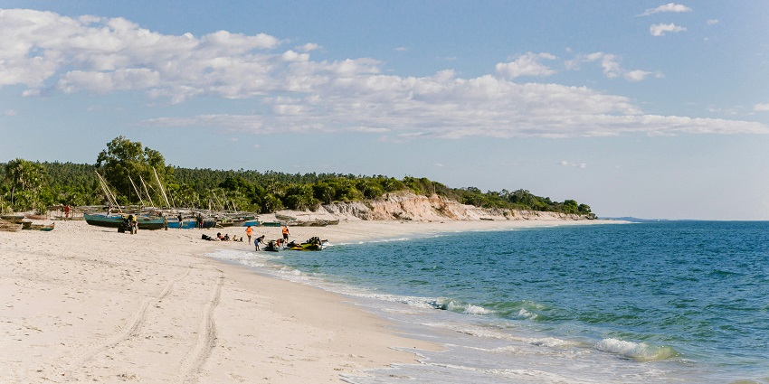 Palm trees line a sandy beach on one of the picturesque islands in Madagascar.