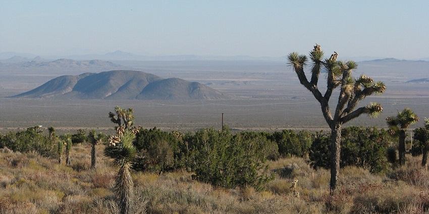 Off-road vehicles speeding through dusty trails surrounded by rocky Mojave Desert terrain.