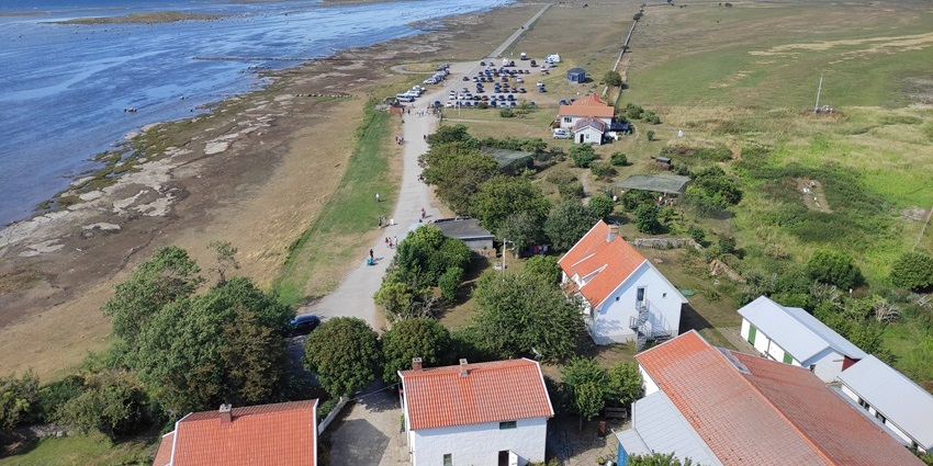 Marvel at windmills, ancient ruins, and a unique landscape on Sweden’s sunniest island, Öland.