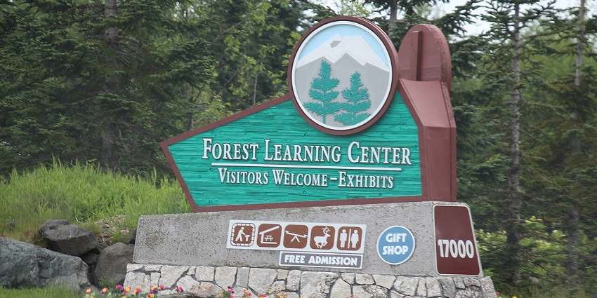 A green oasis in the city offering education on urban forestry and a raised walkway through lush treetop canopies.