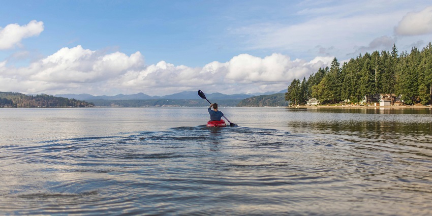 Gliding through gentle waters surrounded by forests, wildlife, and coastal village views, one of the best things to do in Damariscotta Maine.