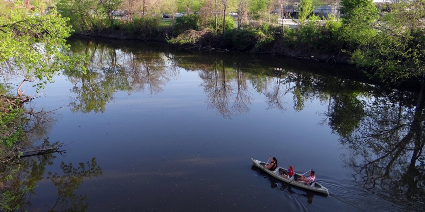 Kayak or canoe through peaceful waters flanked by trees, bridges, and riverside wildlife.