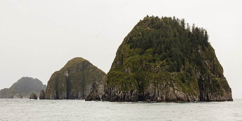 Kayak through the serene waters of Resurrection Bay, surrounded by Alaska's breathtaking coastal scenery.
