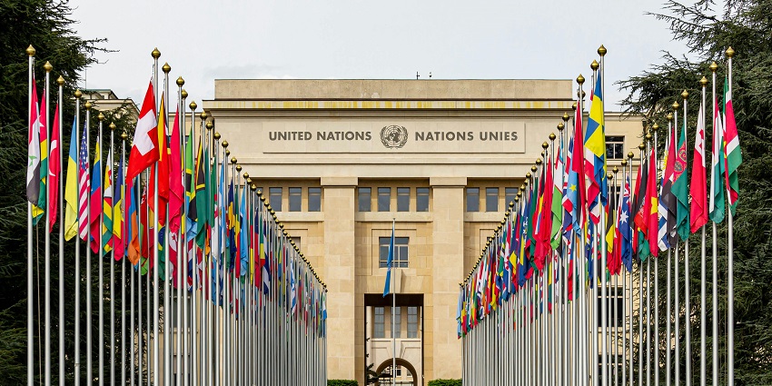 The Allée des Nations at the United Nations Office in Geneva, lined with flags of member countries under a clear sky.