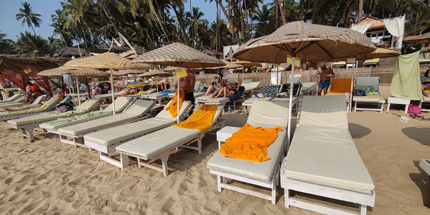 Palolem Beach in Canacona with multiple palm trees and sunloungers on the sandy shore of the beach