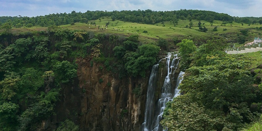 Scenic waterfall flows through lush greenery with logs scattered along the forest floor