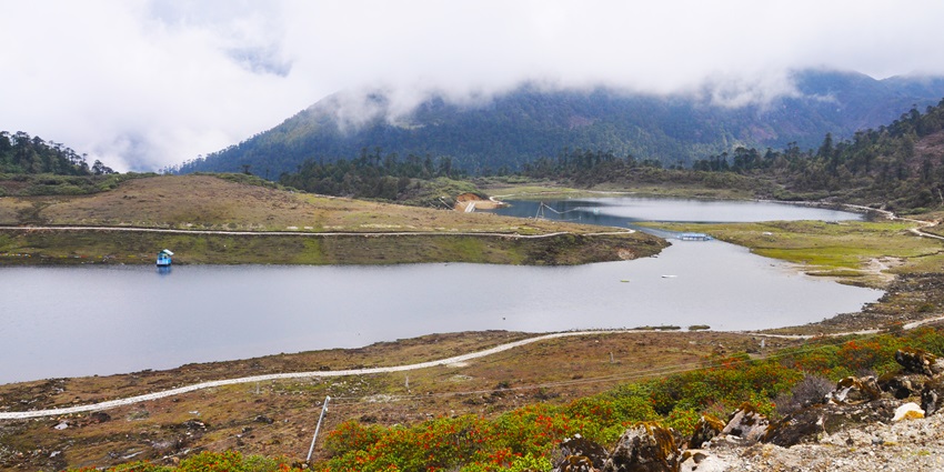Pankang Teng Tso Lake with a large water body, a distant small boat, and green shores