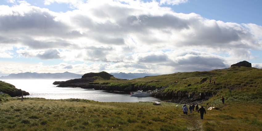 Admire seals and puffins on Papey, among the best islands in Djúpivogur, East Iceland.