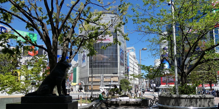Hachiko Statue at Shibuya Square, a popular meeting spot surrounded by busy streets with various things to do in Shibuya.