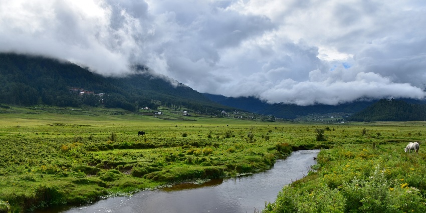 Phobjikha valley in Bhutan surrounded by lush greenery with distant mountains, one of the best places to visit in Bhutan in August.