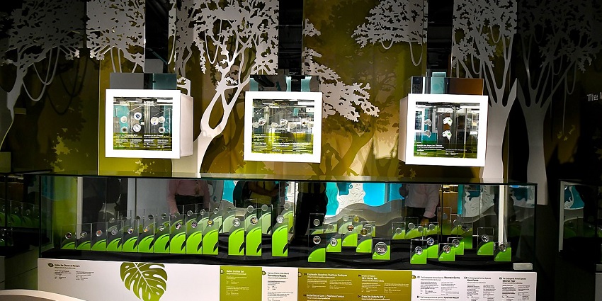 Capture beautiful and inspiring artworks and architectural details in approved areas throughout the museum or gallery.