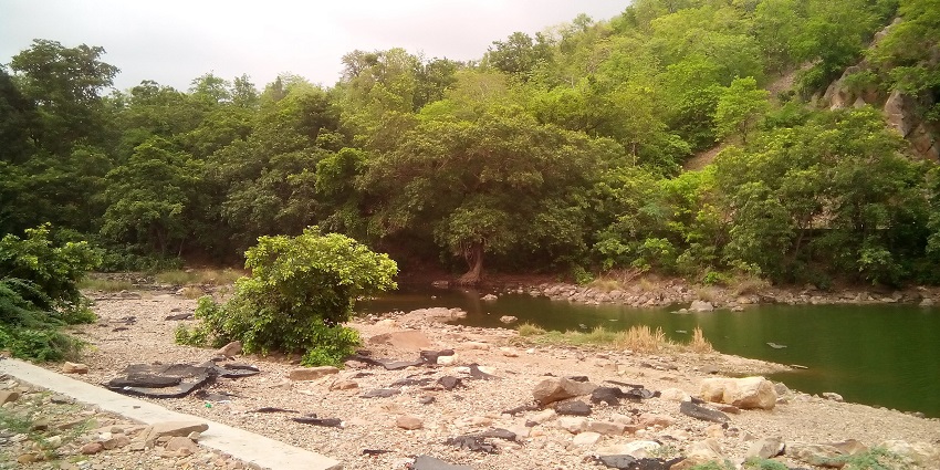 Dense and serene Polo Forest is among the best places to visit in Gujarat in August.