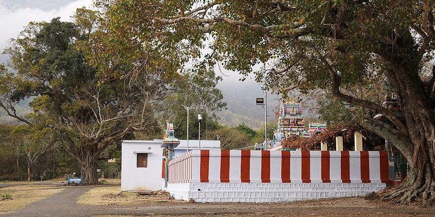 Kalika Mata Temple, one of the most revered shrines in the region.