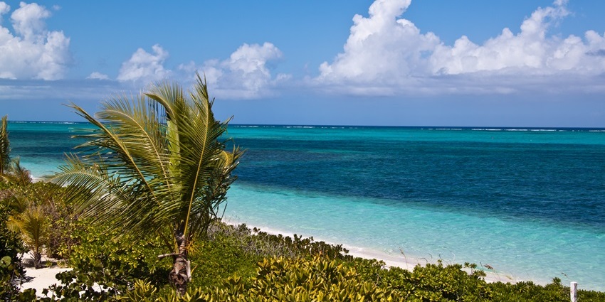 Explore Grace Bay Beach, luxury resorts, and vibrant coral reefs on Providenciales, one of the top beaches in Turks and Caicos.
