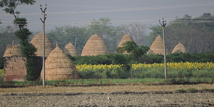 Vibrant scenes from Punjab villages like Kila Raipur and Malerkotla, with lush fields