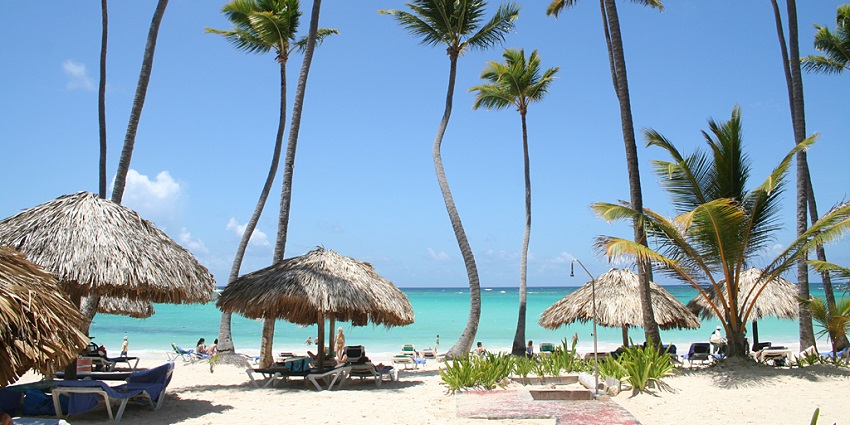 A picturesque tropical beach with tall palm trees, a scenic place to visit in the Dominican Republic.