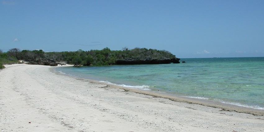 Indulge in coral reef dives and tranquil beach on Quilalea Island.