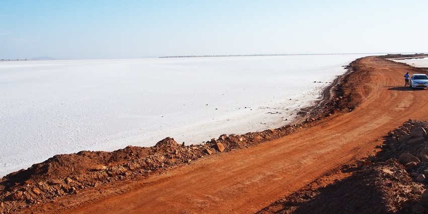 White salt desert, with vibrant cultural festivals, is among the best places to visit in Gujarat in April.