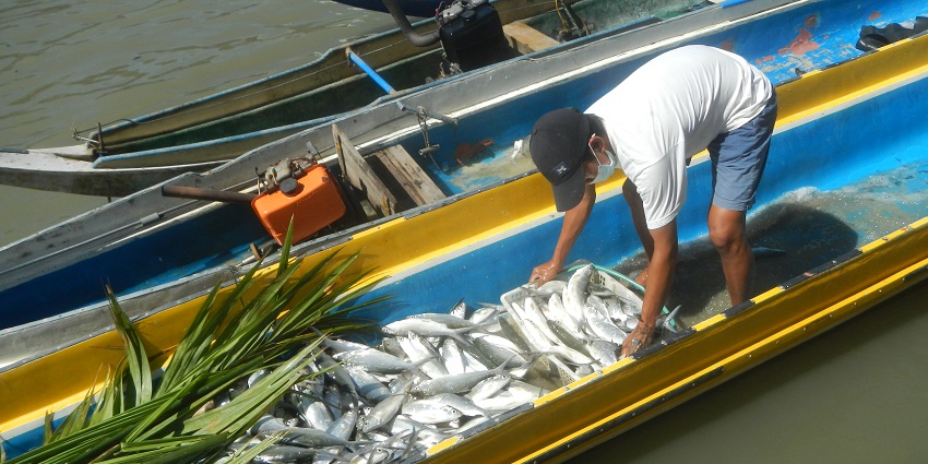 Embark on a sportfishing adventure in Cabo San Lucas, known for marlin, tuna, and dorado catches.